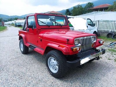 Usato 1992 Jeep Wrangler 2.5 Benzin 103 CV (20.800 €)