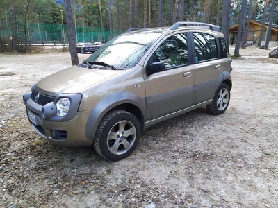 Usato 2006 Fiat Panda Cross 1.2 Diesel 69 CV (6.500 €)