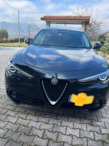 Usato 2017 Alfa Romeo Stelvio 2.1 Diesel 209 CV (19.000 €)