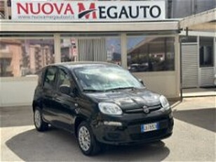 Fiat Panda 1.2 Easy del 2020 usata a Alcamo