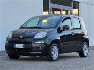 Fiat Panda 1.2 Easy Van 4 posti del 2018 usata a Foggia