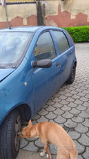 Fiat punto euro4