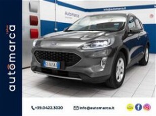 Ford Kuga 1.5 EcoBoost 120 CV 2WD Titanium del 2021 usata a Silea