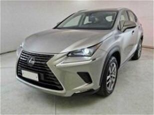 Lexus NX Hybrid 4WD Premium del 2019 usata a Castenaso