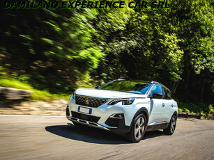 2019 PEUGEOT 3008