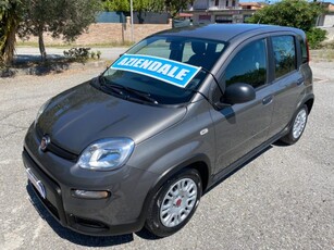 2022 FIAT Panda