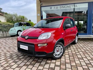 Fiat Panda 1.0