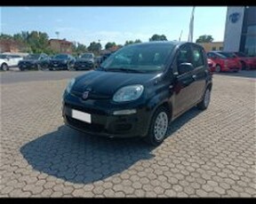 Fiat Panda 1.2 Easy del 2016 usata a Massarosa