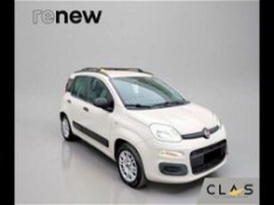 Fiat Panda 1.2 Easy del 2017 usata a Livorno