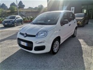 Fiat Panda 1.2 Easy del 2020 usata a Matera