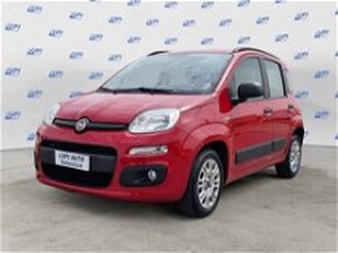 Fiat Panda 1.2 Pop del 2015 usata a Pistoia