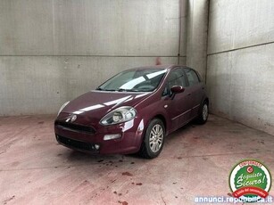 Fiat Punto 1.2 5 porte S&S Dynamic Neopatentati Ok Oderzo