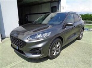 Ford Kuga 2.5 Plug In Hybrid 225 CV CVT 2WD ST-Line del 2021 usata a Castelfranco Veneto