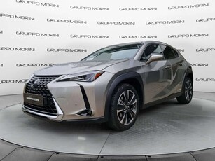 Lexus UX 135 kW