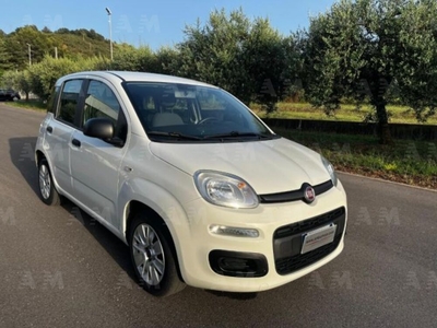 Fiat Panda 1.2 EasyPower Easy usato