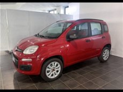 Fiat Panda 0.9 TwinAir Turbo Natural Power Easy my 12 del 2013 usata a Torino