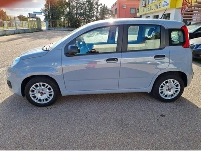 FIAT Panda 1.0 firefly hybrid s&s 70cv 5p.ti