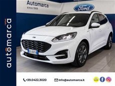 Ford Kuga 2.5 Full Hybrid 190 CV CVT 2WD ST-Line del 2021 usata a Silea