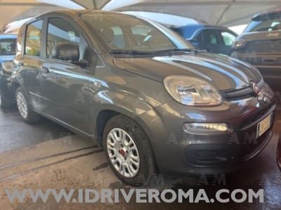 Fiat Panda 1.0 FireFly S&S Hybrid usato