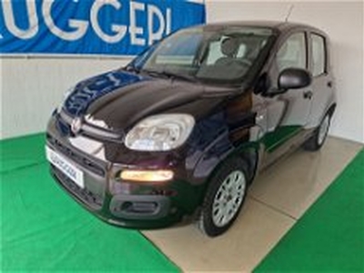 Fiat Panda 1.2 EasyPower Easy del 2019 usata a Rimini