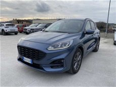 Ford Kuga Kuga 1.5 ecoboost ST-Line 2wd 150cv del 2023 usata a Poggibonsi