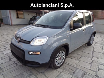 Fiat Panda 1.0 FireFly S&S Hybrid City Life usato