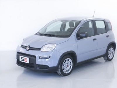 Fiat Panda 1.0 FireFly S&S Hybrid Easy usato