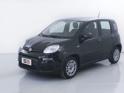 Fiat Panda 1.0 firefly hybrid s&s 70cv 5p.ti usato