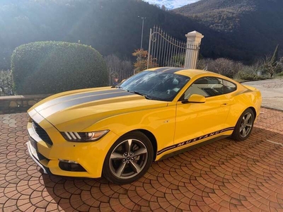 Usato 2019 Ford Mustang 2.3 Benzin 317 CV (29.500 €)