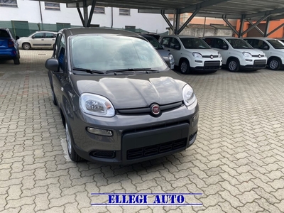 Fiat Panda 1.0