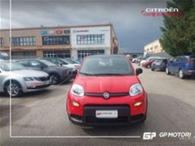 Fiat Panda 1.0 FireFly S&S Hybrid City Cross del 2021 usata a Vitulazio