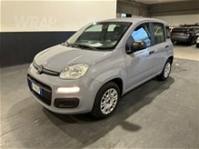 Fiat Panda 1.2 Easy del 2019 usata a Milano