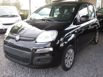 Fiat Panda 1.2 usato