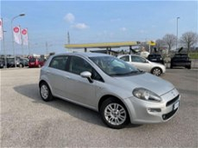 Fiat Punto 1.3 MJT II 75 CV 5 porte Lounge my 11 del 2015 usata a Maniago