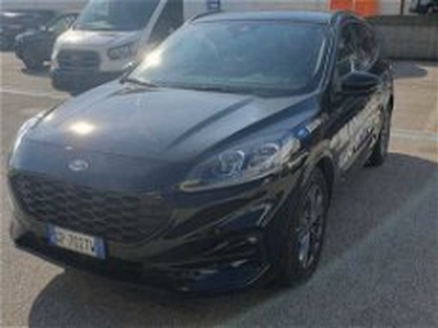 Ford Kuga 2.0 EcoBlue 120 CV aut. 2WD ST-Line X del 2023 usata a Grumolo delle Abbadesse