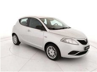 Lancia Ypsilon 1.2 69 CV 5 porte GPL Ecochic Gold del 2017 usata a Teverola