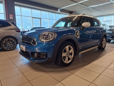 MINI Mini Countryman F60 Mini 1.5 Cooper S E Countryman ALL4 Automatica