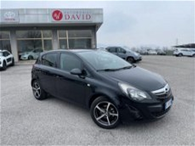 Opel Corsa 1.2 85CV 5 porte GPL-TECH Edition del 2015 usata a Maniago