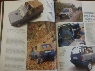 Usato 1985 Fiat Panda 4x4 1.0 Benzin 48 CV (20.000 €)