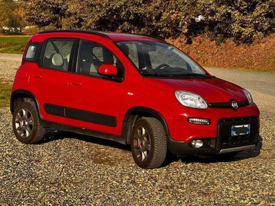 Usato 2013 Fiat Panda 4x4 1.2 Diesel 75 CV (7.500 €)