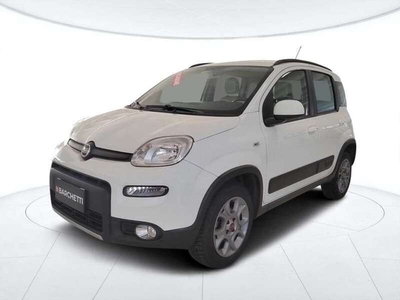Usato 2015 Fiat Panda 4x4 0.9 Benzin (11.500 €)
