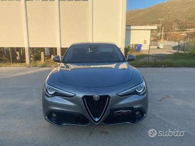 Usato 2018 Alfa Romeo Stelvio 2.1 Diesel 179 CV (21.990 €)