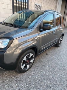 Usato 2019 Fiat Panda Cross Benzin (15.500 €)