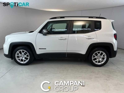 Usato 2019 Jeep Renegade 1.0 Benzin (16.500 €)