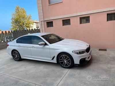 Usato 2020 BMW 530 2.0 El_Hybrid 184 CV (38.900 €)