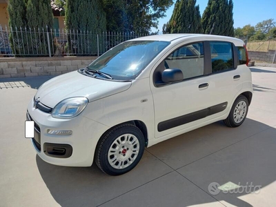 Usato 2020 Fiat Panda 1.2 LPG_Hybrid 70 CV (9.900 €)