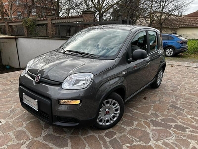 Usato 2023 Fiat Panda 1.0 El_Hybrid 71 CV (12.500 €)