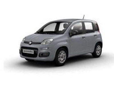 Fiat Panda 1.0 FireFly S&S Hybrid City Cross del 2022 usata a Potenza