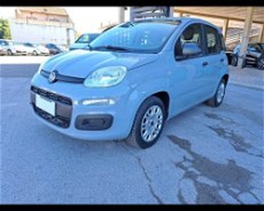 Fiat Panda 1.3 MJT 95 CV S&S Easy del 2017 usata a Pisa