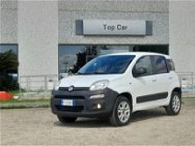 Fiat Panda 1.3 MJT S&S 4x4 Pop Climbing Van 2 posti del 2014 usata a Oristano